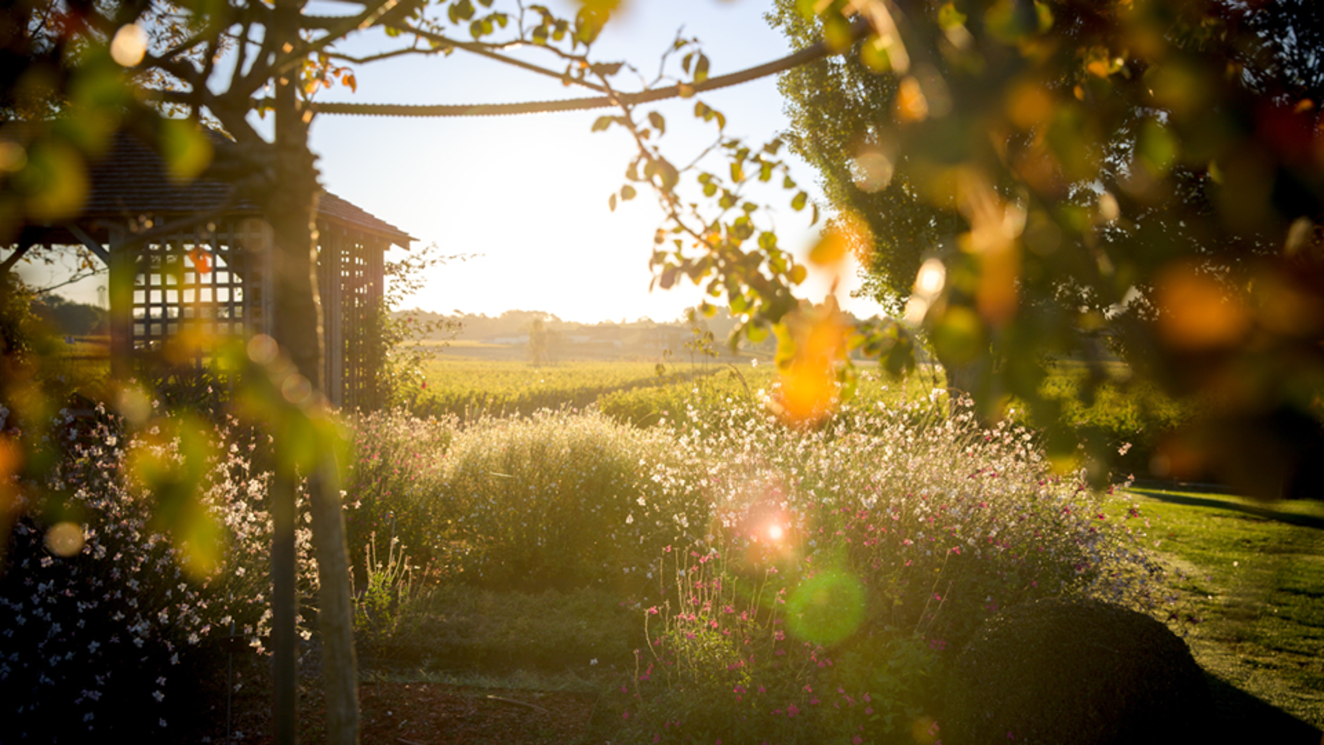 SRI Chronicles: Good news for sustainability in Europe