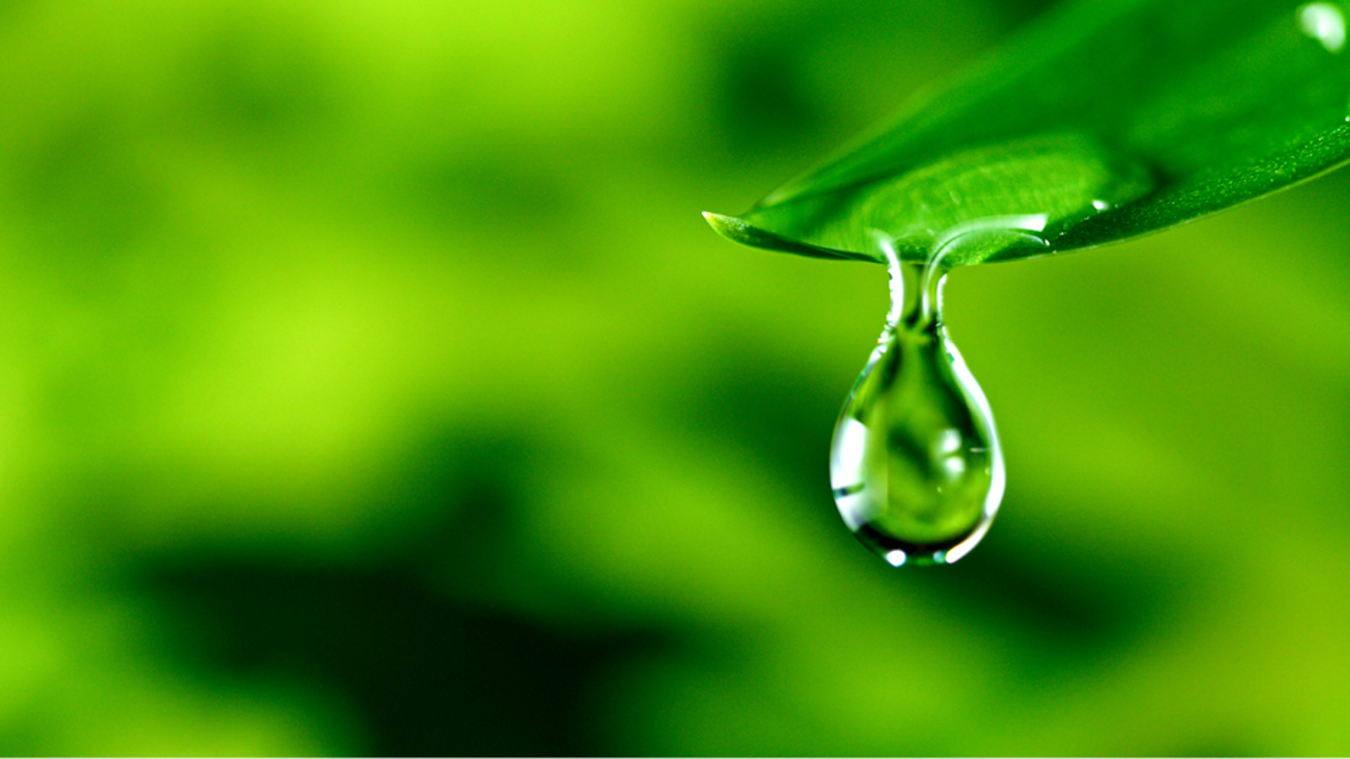 Supporting Sustainable Development Goals