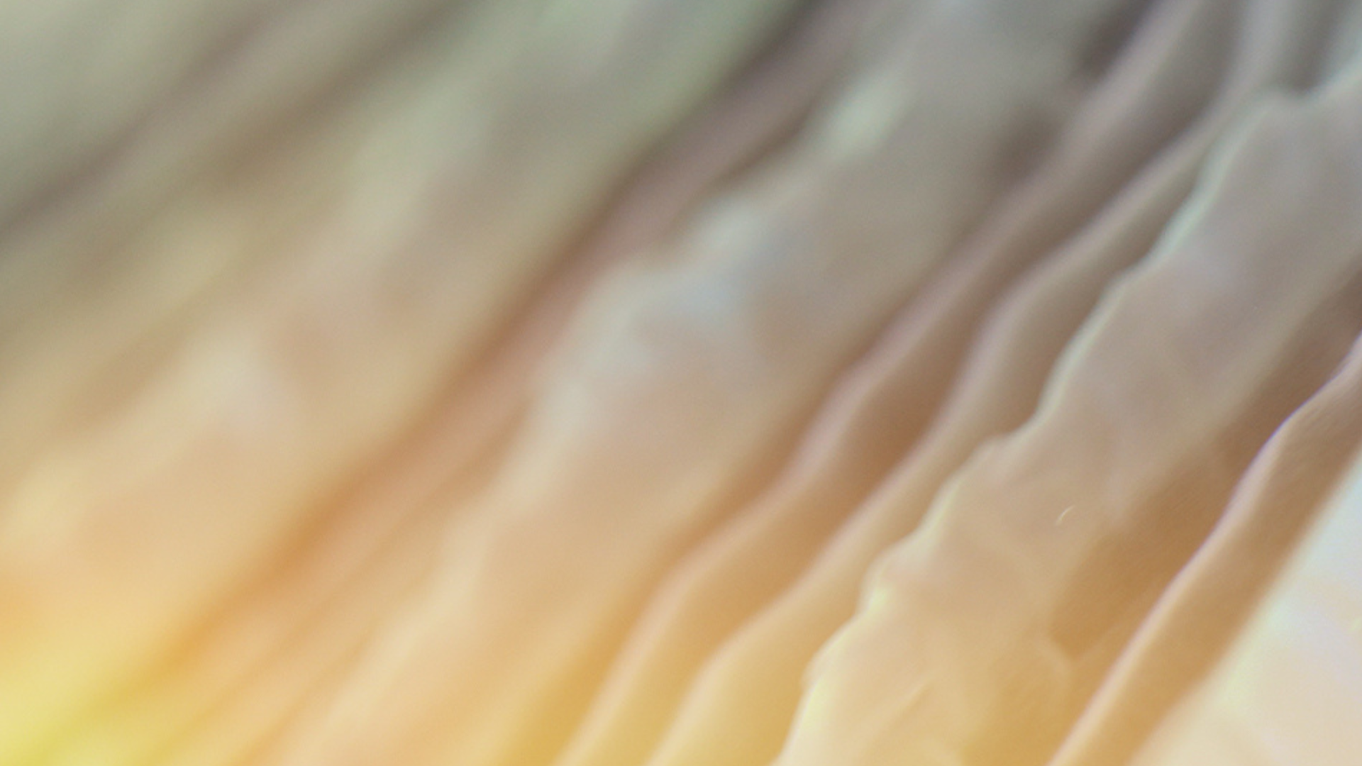 Outlook & Convictions n°12: Between Catalysts and Uncertainties