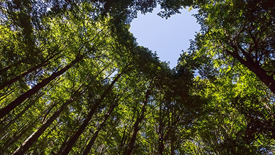 ESG-Check: Edmond de Rothschild Asset Management mit Platin ausgezeichnet