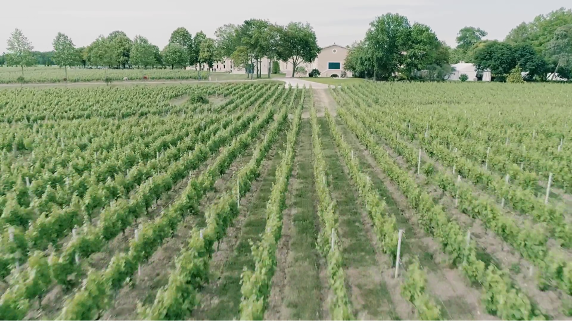 After 3 years of renovation, the Château Clarke vineyard reopens its doors