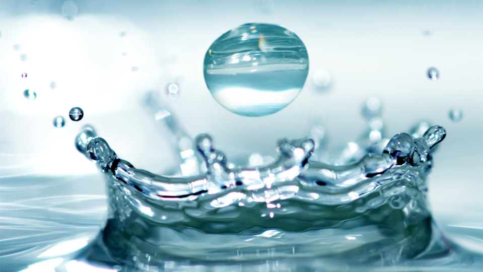 Journée mondiale de l'eau