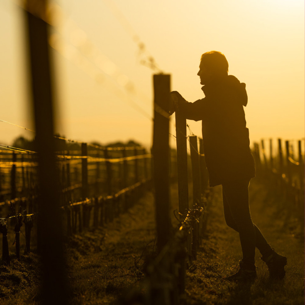 2024 Website ASSETS 8 (1)