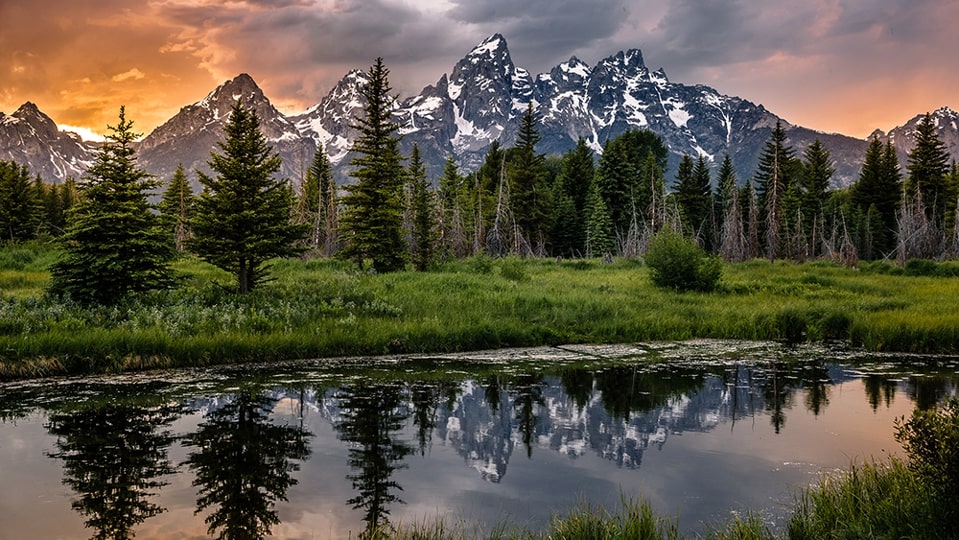 Jackson Hole