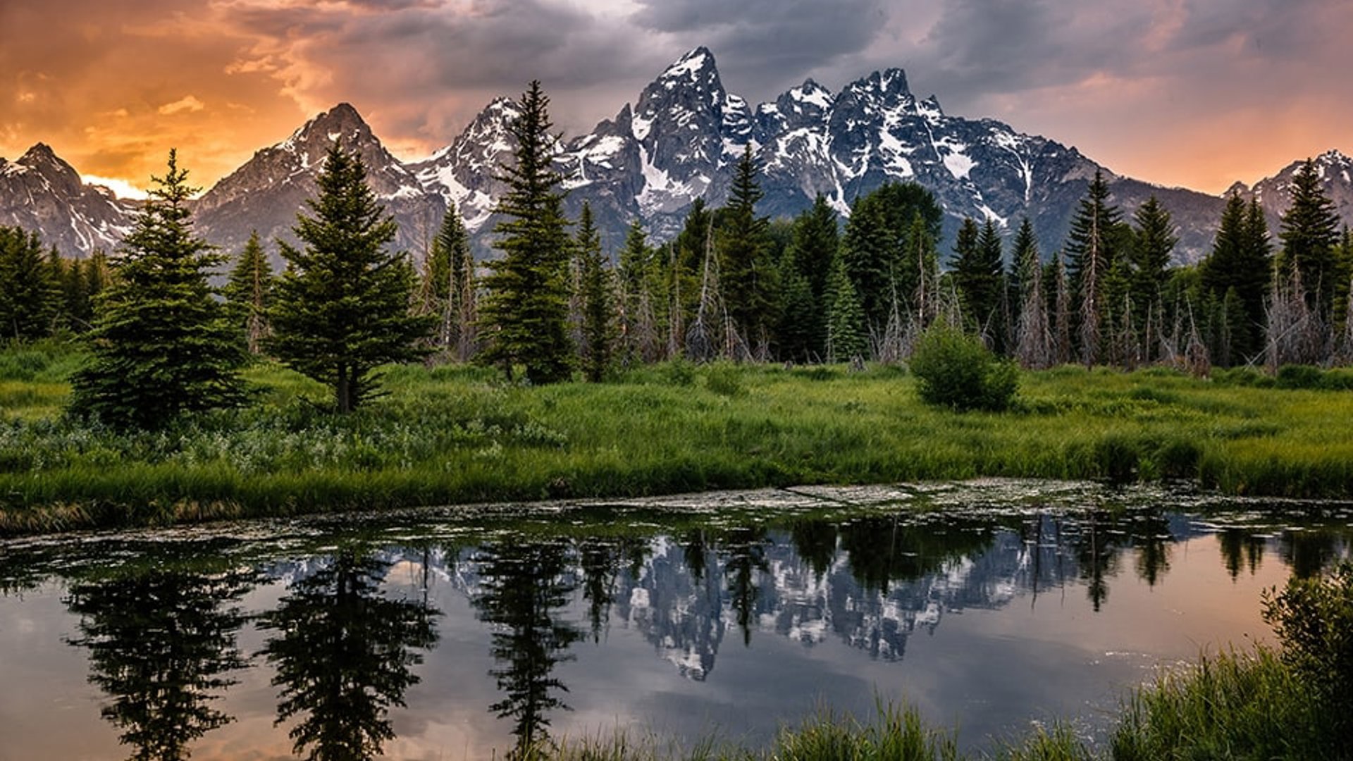 Jackson Hole