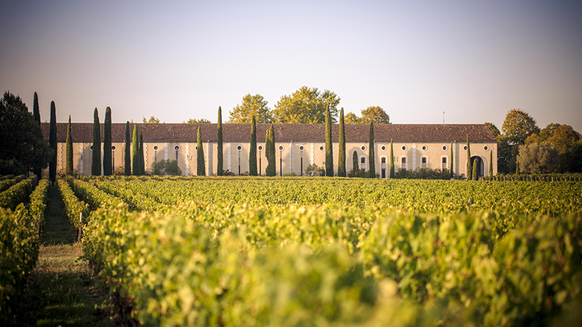 Château Clarke: the story of an entrepreneur's winning gamble