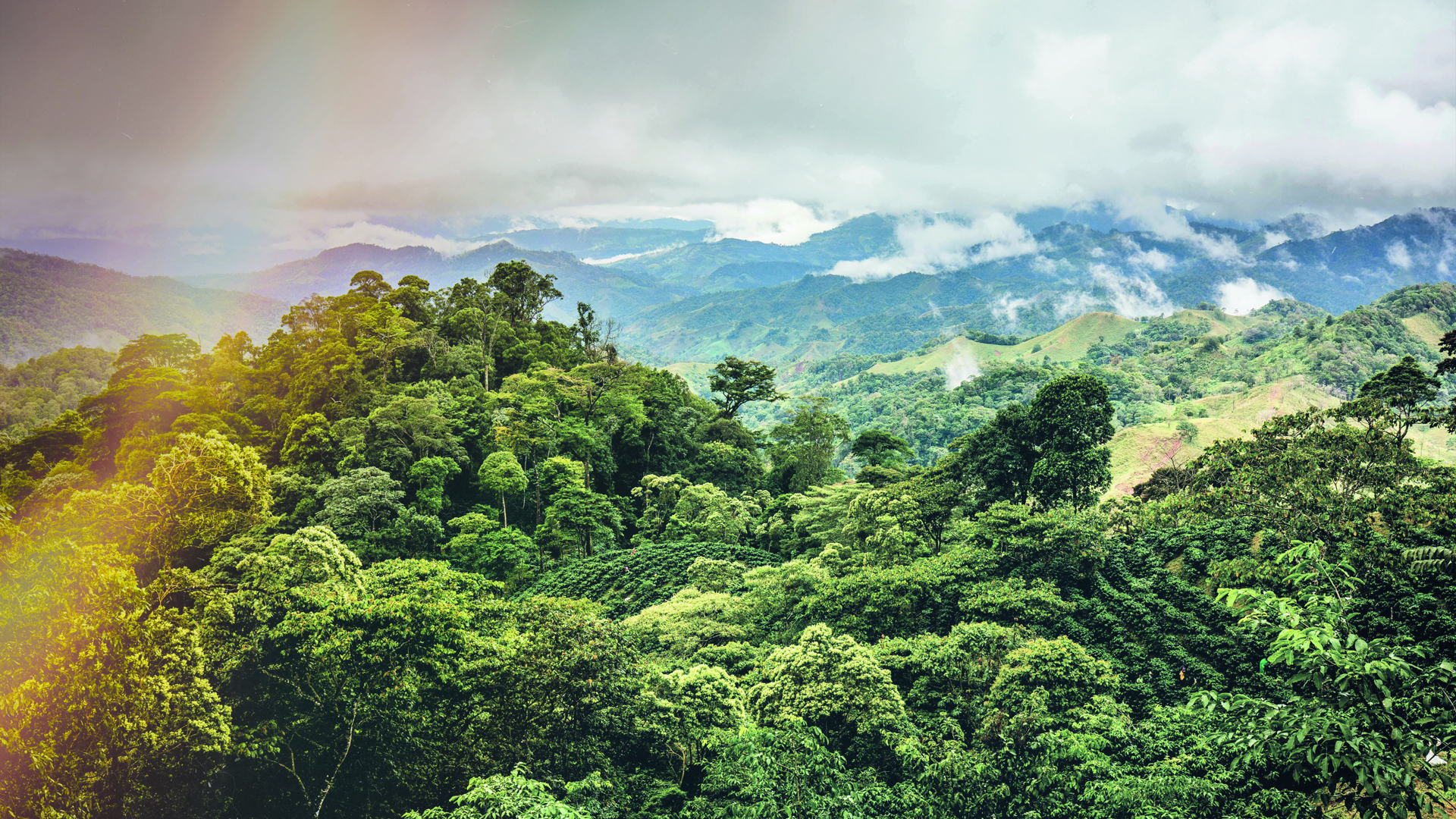 The SRI Chronicles : Good news for COP 30, starting with “cheaper, baby, cheaper!”
