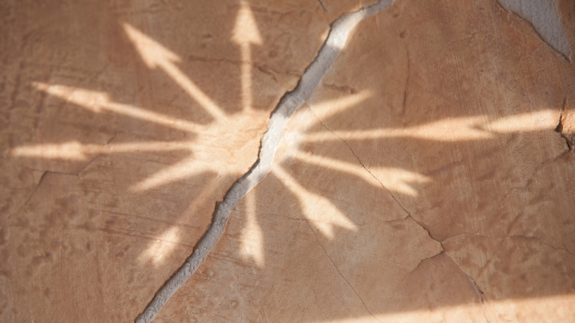 Monthly CIO View: Equity market rotation put to the test by second-quarter results